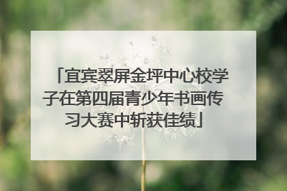 宜宾翠屏金坪中心校学子在第四届青少年书画传习大赛中斩获佳绩