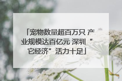 宠物数量超百万只 产业规模达百亿元 深圳“它经济”活力十足