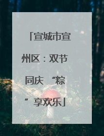 宣城市宣州区：双节同庆 “粽”享欢乐