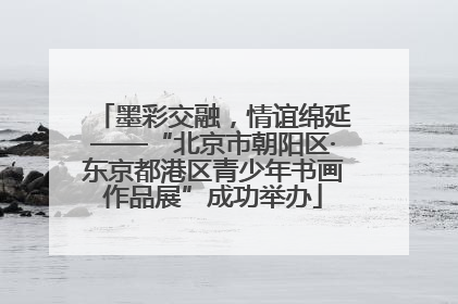 墨彩交融，情谊绵延——“北京市朝阳区·东京都港区青少年书画作品展”成功举办