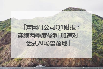 声网母公司Q1财报：连续两季度盈利 加速对话式AI场景落地
