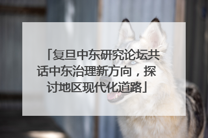 复旦中东研究论坛共话中东治理新方向，探讨地区现代化道路