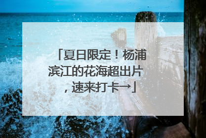 夏日限定！杨浦滨江的花海超出片，速来打卡→