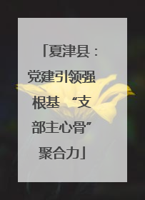 夏津县：党建引领强根基 “支部主心骨”聚合力