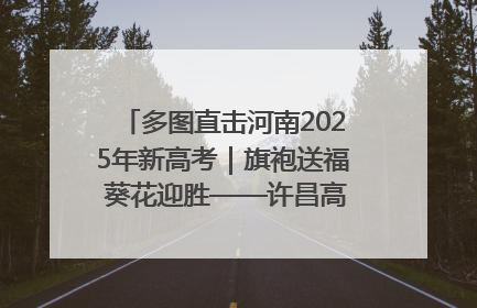 多图直击河南2025年新高考｜旗袍送福 葵花迎胜——许昌高考首日拉开帷幕
