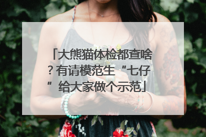 大熊猫体检都查啥？有请模范生“七仔”给大家做个示范