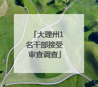大理州1名干部接受审查调查
