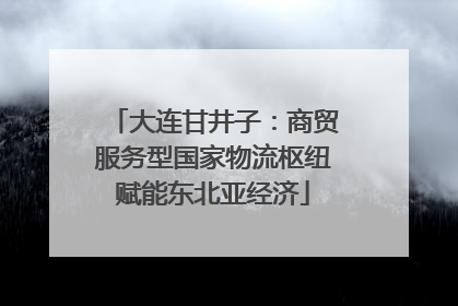 大连甘井子：商贸服务型国家物流枢纽赋能东北亚经济