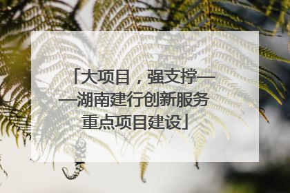 大项目，强支撑——湖南建行创新服务重点项目建设