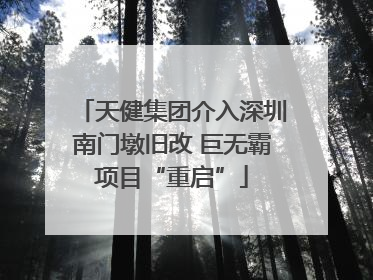 天健集团介入深圳南门墩旧改 巨无霸项目“重启”