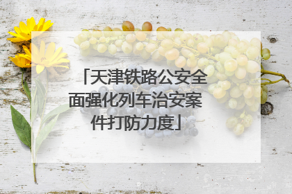 天津铁路公安全面强化列车治安案件打防力度