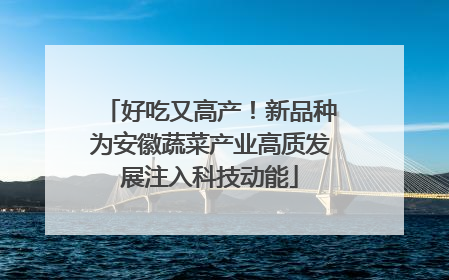 好吃又高产！新品种为安徽蔬菜产业高质发展注入科技动能