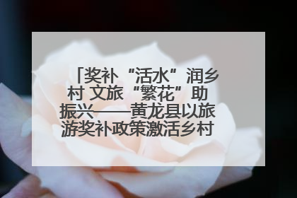 奖补“活水”润乡村 文旅“繁花”助振兴——黄龙县以旅游奖补政策激活乡村振兴新动能