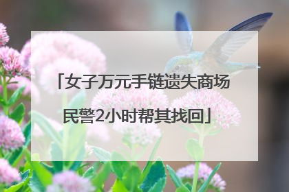 女子万元手链遗失商场 民警2小时帮其找回