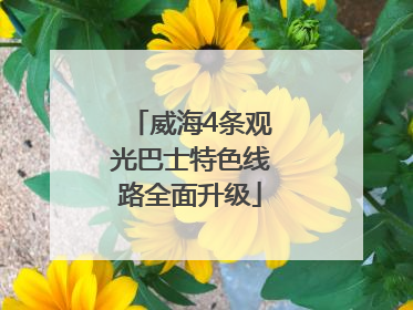 威海4条观光巴士特色线路全面升级