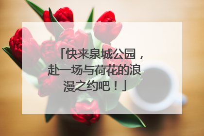 快来泉城公园，赴一场与荷花的浪漫之约吧！