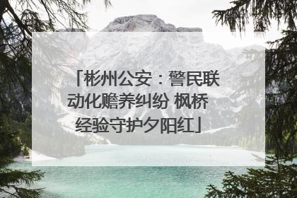 彬州公安：警民联动化赡养纠纷 枫桥经验守护夕阳红