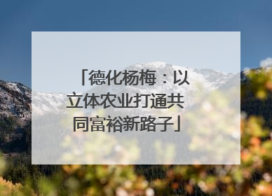 德化杨梅：以立体农业打通共同富裕新路子