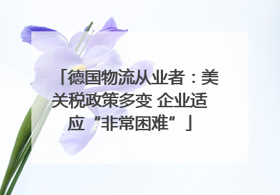 德国物流从业者：美关税政策多变 企业适应“非常困难”