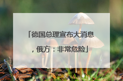 德国总理宣布大消息，俄方：非常危险