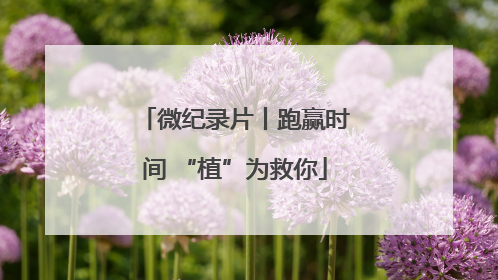 微纪录片丨跑赢时间 “植”为救你