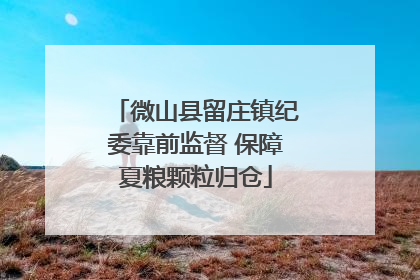 微山县留庄镇纪委靠前监督 保障夏粮颗粒归仓