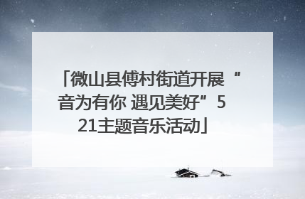 微山县傅村街道开展“音为有你 遇见美好”521主题音乐活动