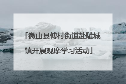 微山县傅村街道赴驩城镇开展观摩学习活动