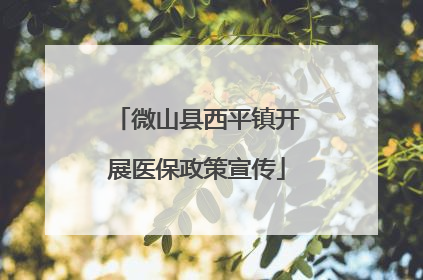 微山县西平镇开展医保政策宣传