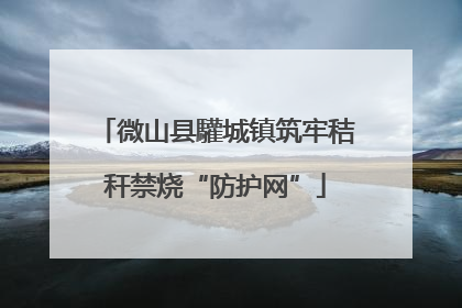 微山县驩城镇筑牢秸秆禁烧“防护网”