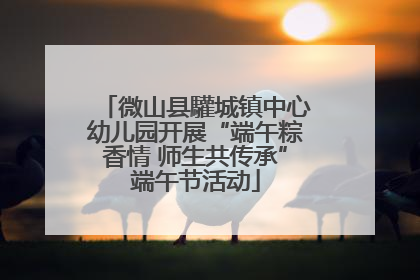 微山县驩城镇中心幼儿园开展“端午粽香情 师生共传承”端午节活动