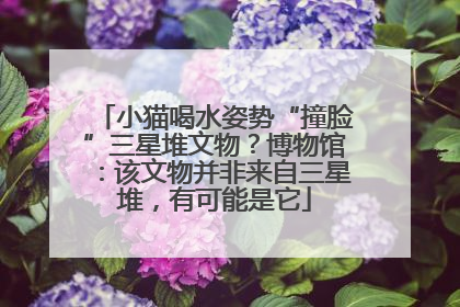 小猫喝水姿势“撞脸”三星堆文物？博物馆：该文物并非来自三星堆，有可能是它