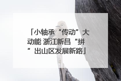 小轴承“传动”大动能 浙江新昌“拼”出山区发展新路