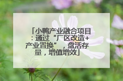 小鸭产业融合项目：通过“厂区改造+产业置换”，盘活存量，增值增效