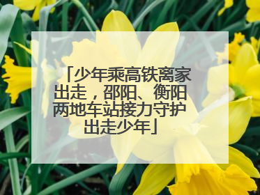 少年乘高铁离家出走，邵阳、衡阳两地车站接力守护出走少年