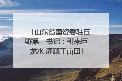 山东省国资委驻巨野第一书记：引来巨龙水 灌溉千亩田