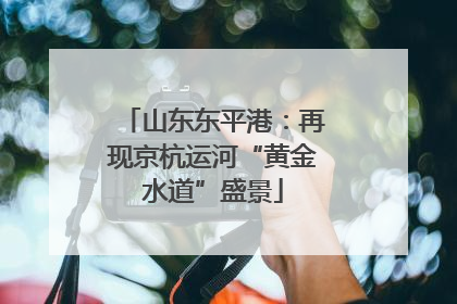 山东东平港：再现京杭运河“黄金水道”盛景