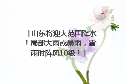 山东将迎大范围降水！局部大雨或暴雨，雷雨时阵风10级！