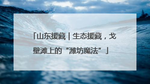 山东援藏｜生态援藏，戈壁滩上的“潍坊魔法”