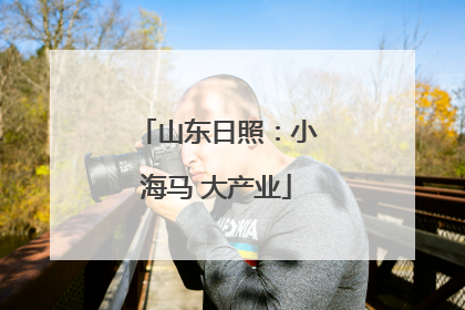 山东日照：小海马 大产业