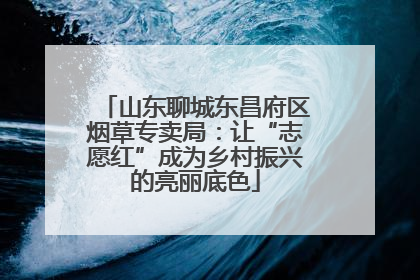 山东聊城东昌府区烟草专卖局：让“志愿红”成为乡村振兴的亮丽底色