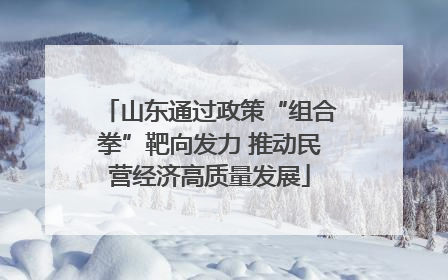 山东通过政策“组合拳”靶向发力 推动民营经济高质量发展