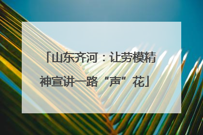 山东齐河：让劳模精神宣讲一路“声”花