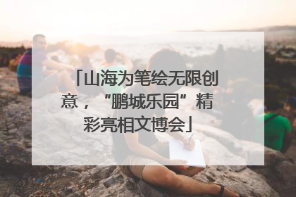山海为笔绘无限创意，“鹏城乐园”精彩亮相文博会