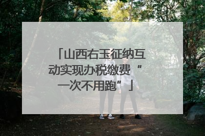 山西右玉征纳互动实现办税缴费“一次不用跑”