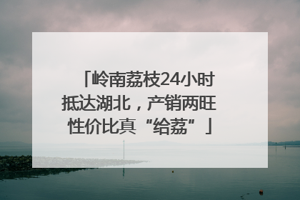 岭南荔枝24小时抵达湖北，产销两旺性价比真“给荔”