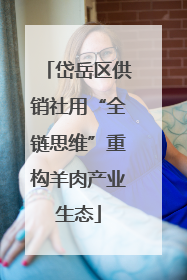 岱岳区供销社用“全链思维”重构羊肉产业生态