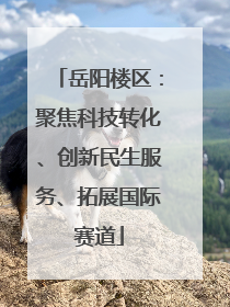 岳阳楼区：聚焦科技转化、创新民生服务、拓展国际赛道