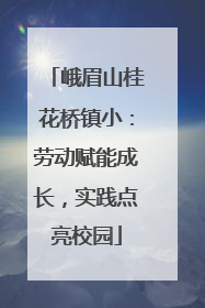 峨眉山桂花桥镇小：劳动赋能成长，实践点亮校园