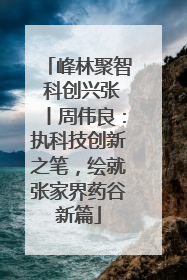 峰林聚智 科创兴张丨周伟良：执科技创新之笔，绘就张家界药谷新篇
